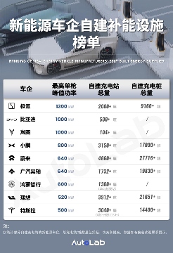 车企自建充电桩现状：谁在真金白银投入，谁已无奈退场(图2)