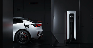 车企自建充电桩现状：谁在真金白银投入，谁已无奈退场(图3)