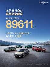 新势力车企销量深度解析：产品策略、技术布局与市场博弈(图1)