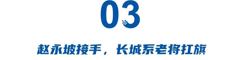 从冯复之到赵永坡：魏牌需要“职业经理人”还是“自己人”？(图7)